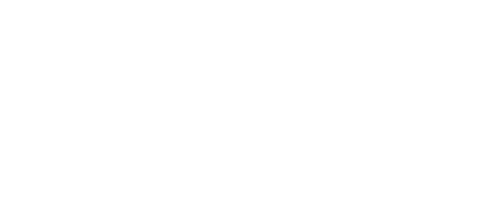 بوينت لايت